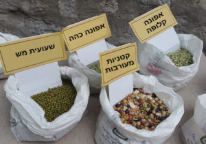 קטניות שונות בריא גם לא לחולי סוכרת קטניות שונות בריא גם לא לחולי סוכרת